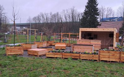 Innovation trifft Natur: Der „Kistengarten“ auf der Landesgartenschau in Wangen